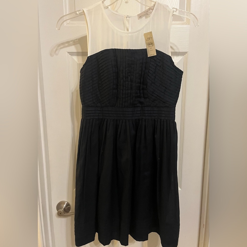 LOFT Navy and white Cocktail Dress